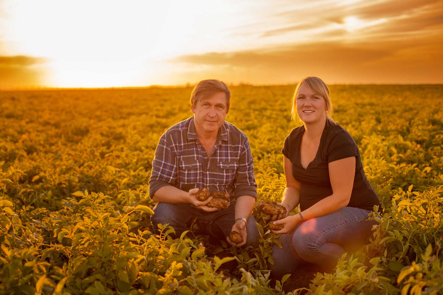 Potatoes Key to Global Food Security