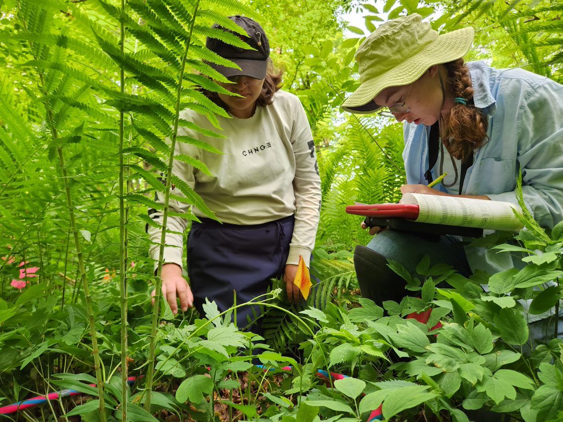 ULethbridge biology professor collaborates with grad student on engaging recap of research work