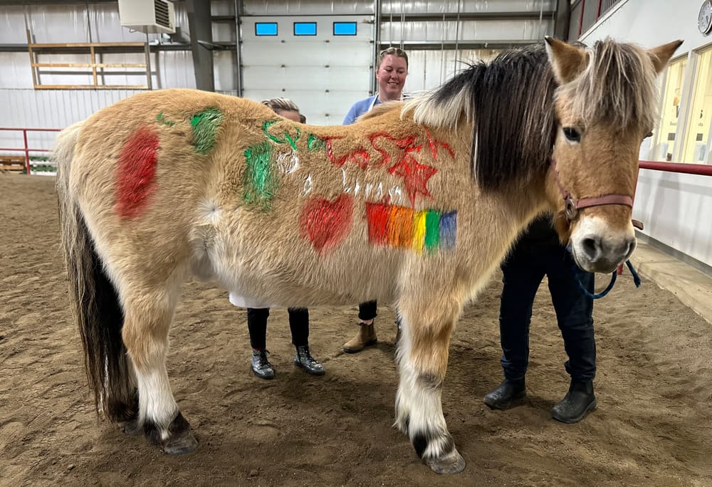 Therapeutic Recreation graduate creates unique equine art program